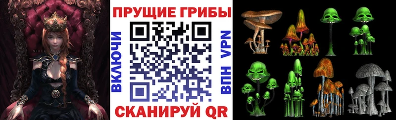 Галлюциногенные грибы прущие грибы  Кинель 